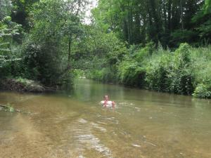 Le canal de Garonne. Mini_260660IMG0144