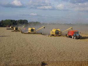 désherbage blé 2023 Mini_264780charles