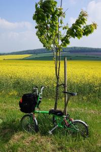 Balade de l'Arbre de mai (quater) : Luxembourg à Aachen par les Pistes cyclables et la Vennbahn [mai 2015] saison 10 •Bƒ - Page 3 Mini_280656Arbremai85