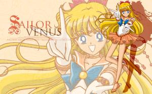 Sailor Moon Mini_306801Svenuswall