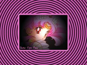 Sailor Moon Mini_309676dtsmcmblackpink