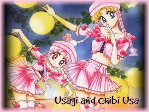 Sailor Moon Mini_314588Usagispinkwall