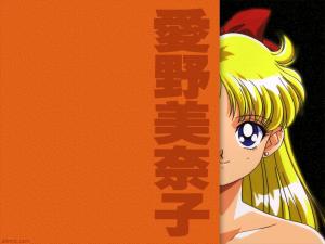 Sailor Moon Mini_356082wallpapers080