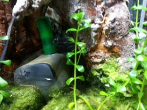 Paludarium tropical, version 2   45X45X60 Mini_39638720140711223320