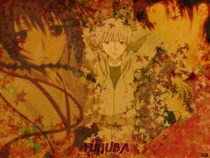 Fruits Basket Mini_414518FurubaBoys800