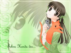 Fruits Basket Mini_418607tohru800