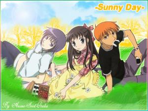 Fruits Basket Mini_462240yuo