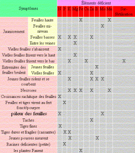 Plante qui fane HELP Mini_48018493296e