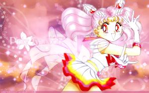 Sailor Moon Mini_493010396328