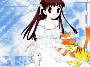 Fruits Basket Mini_5290097365