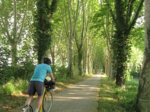 Le canal de Garonne. Mini_529499IMG0149