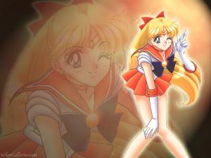 Sailor Moon Mini_548784wallpapervenus08800600