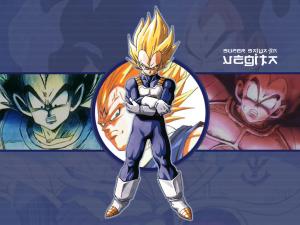 Dragon Ball / Dragon Ball Z / Dragon Ball GT / Dragon Ball Super Mini_614079dragonballzwallpaper15lw5