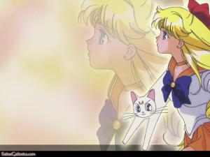 Wallpapers (Anime de 1992 & Manga) Mini_751699wallpapervenus06800600