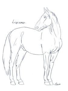 A fermer, please :3 Mini_832949Lipizzan