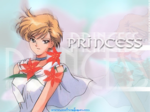 Wallpapers (Anime de 1992 & Manga) Mini_900764princess