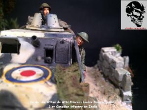 Otter  Canadien du 4TH Princess Louise Dragon en Italie 1943 Mini_934584finduotter012