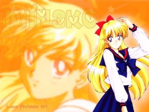 Sailor Moon Mini_951906lpwall08