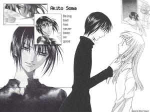 Fruits Basket Mini_970965arabellaakitohru800