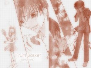 Fruits Basket Mini_9710377336