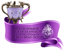 LES MUM AWARDS (terminée) 111950Beaugosse