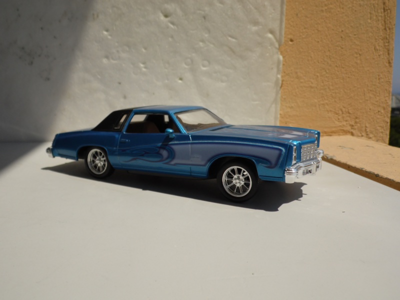 Chevy Monte-carlo'77 113288SAM7177