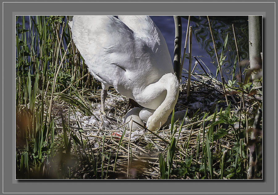 Les photos d'Alamontagne 115580Alain25