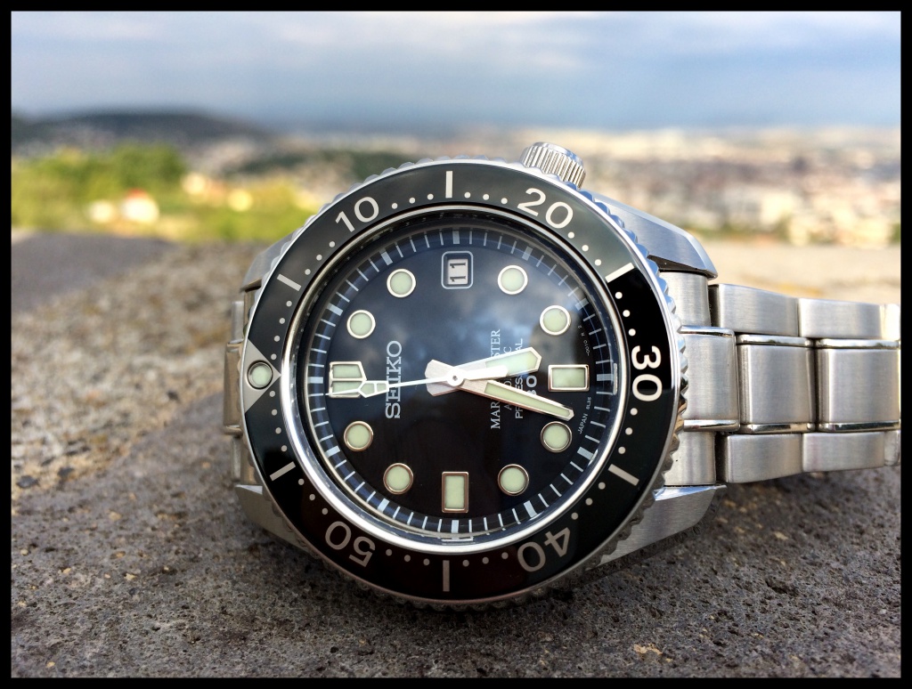 submariner - feux de plongeuses !!!! - Page 38 116651IMG2315