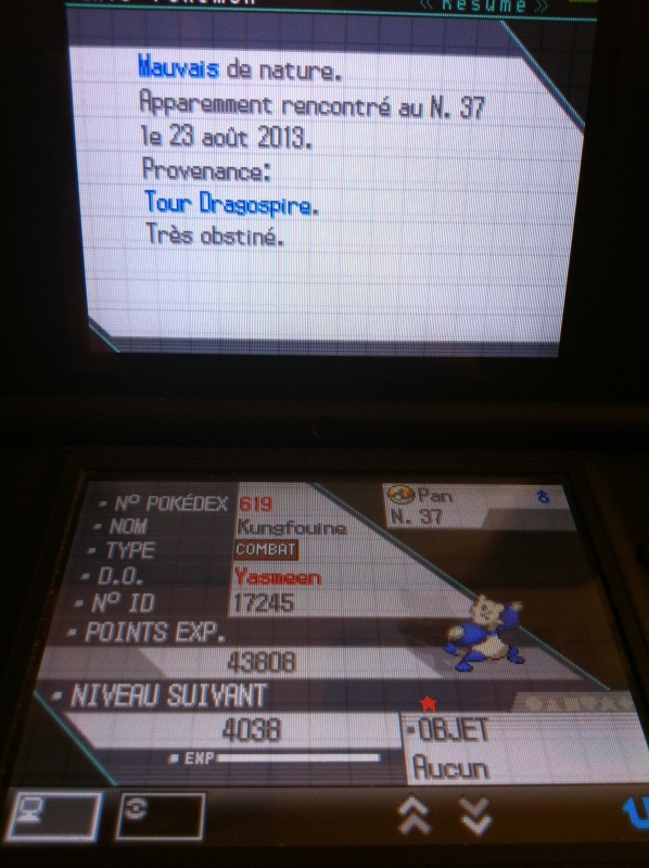 [ShinysHunters' Teams Cup n°7] Rapports et Classements  - Page 14 117333IMG1904