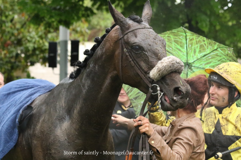 Photos Auteuil 22-05-2016 1206515J6A2942