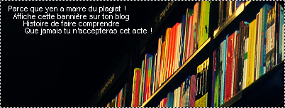 Semaine officielle contre le plagiat - Page 3 120961nonauplagia