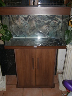 vend aquarium juwel rio 120   oise 121082P1010061