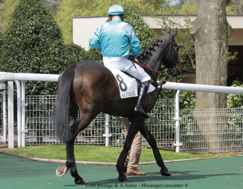 Photos Auteuil 17-04-2016 - Page 2 126747IMG0002