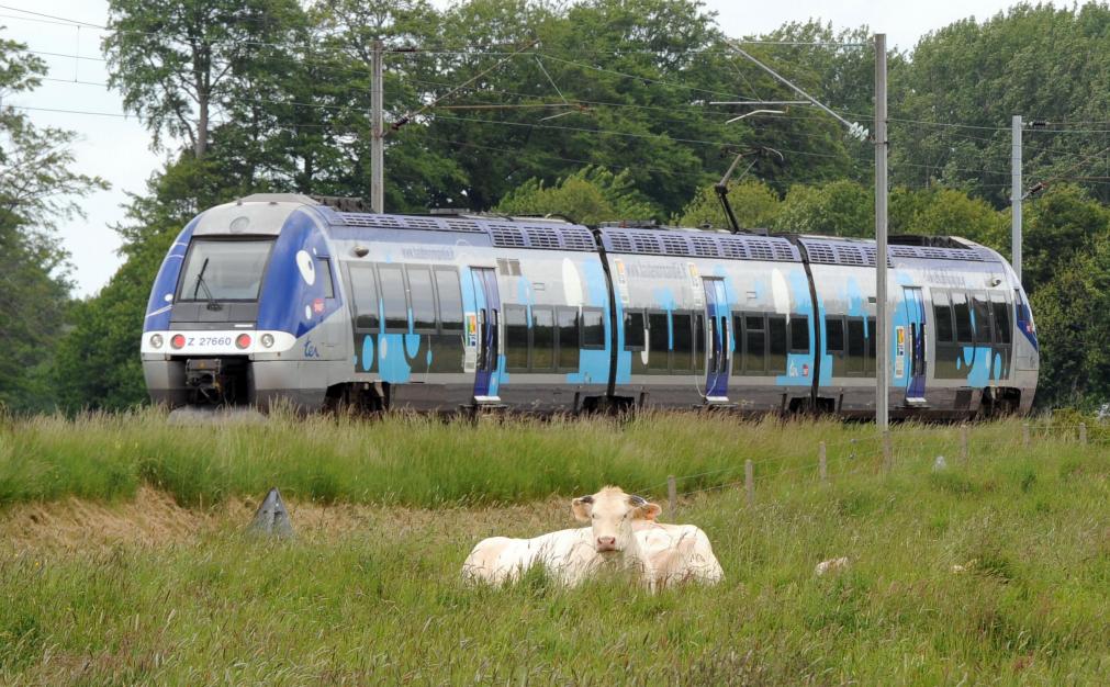 La Haute Normandie (76) une des région de mes origines .  133650ternormandie