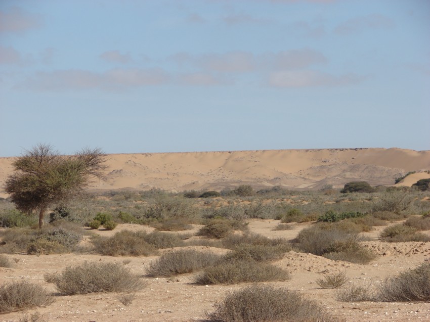 Le Grand Sud du Maroc - II 133810033