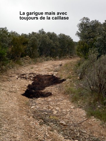 La traversée des Corbières et une gamelle 139089SDC14331