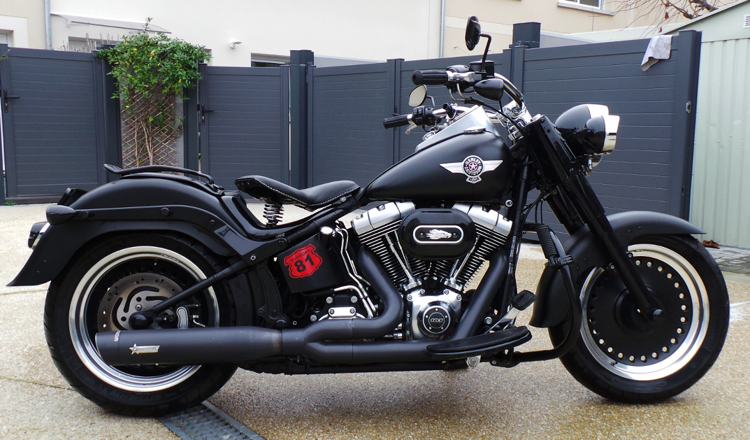 Photo des échappements et selles sur Softail - Page 2 139453287103511