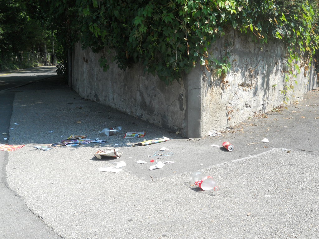 Genève, le trou du cul de l'Europe. 140805DSCN4015