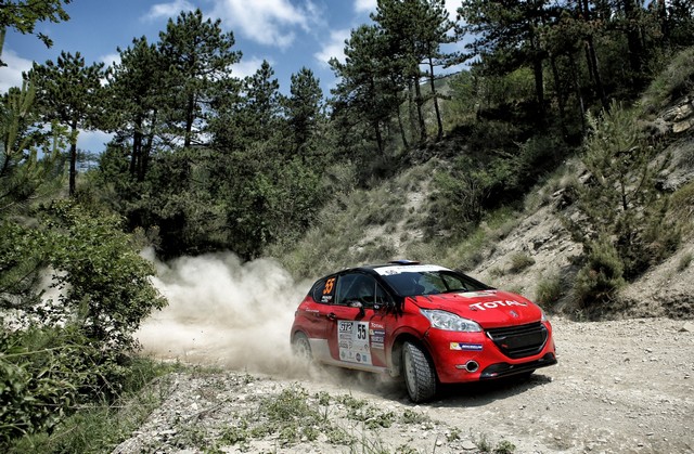  Les Peugeot 208 En Force ! 141191593520f17cf9a