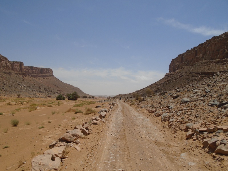 Maroc - Maroc 2016 de Franck, Speedy et Maxou - Page 2 141774DSC00549