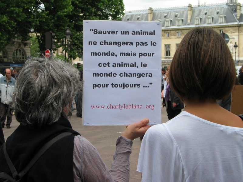 11 - Manifestation contre le massacre des animaux en Ukraine - 9 juin 2012 141979IMG9217