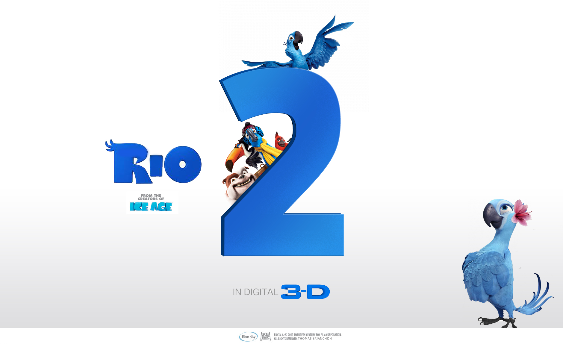 Photoshop 142095Rio2castmovielogowallpaper