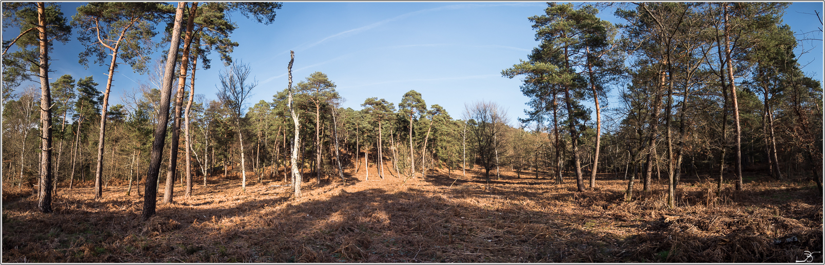 Bourron-Marlotte 142897LR6P1250174Panorama