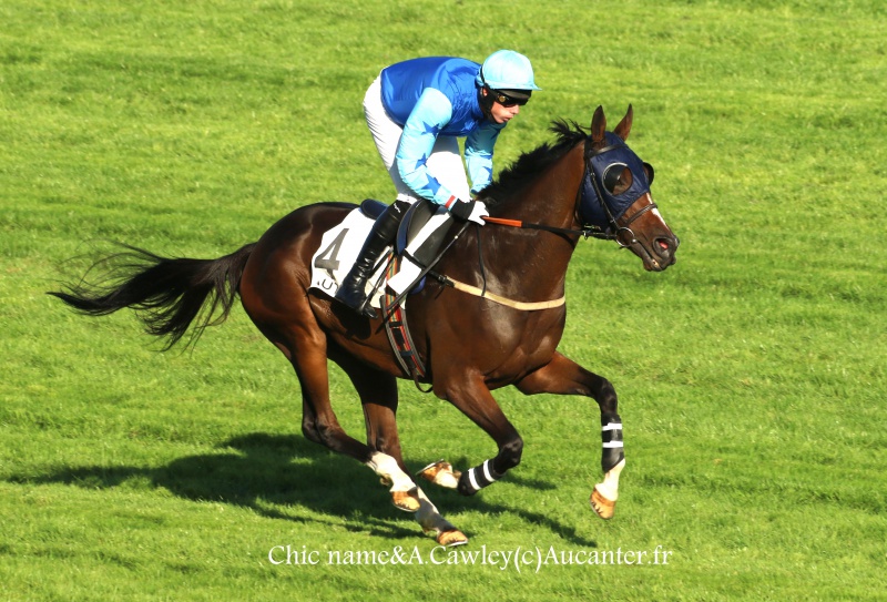 Photos Auteuil 24-09-2016 1435385J6A7335