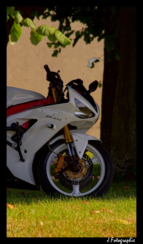 Zx6R K10 Blanc :) [Photo page 1] - Page 4 143653DSC02410copie