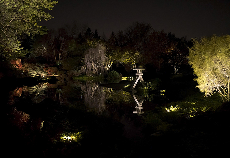 Jardin de lumière japonais 143984P1000142Modifier