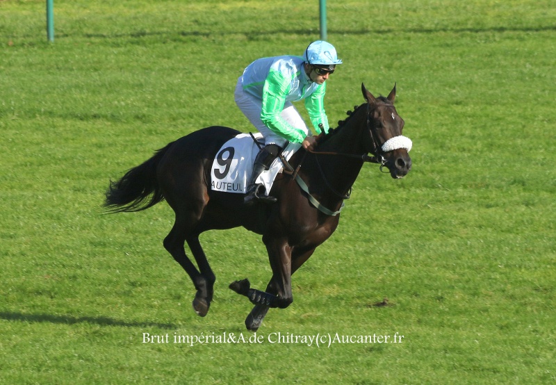 Photos Auteuil 9-10-2016 1459135J6A7876