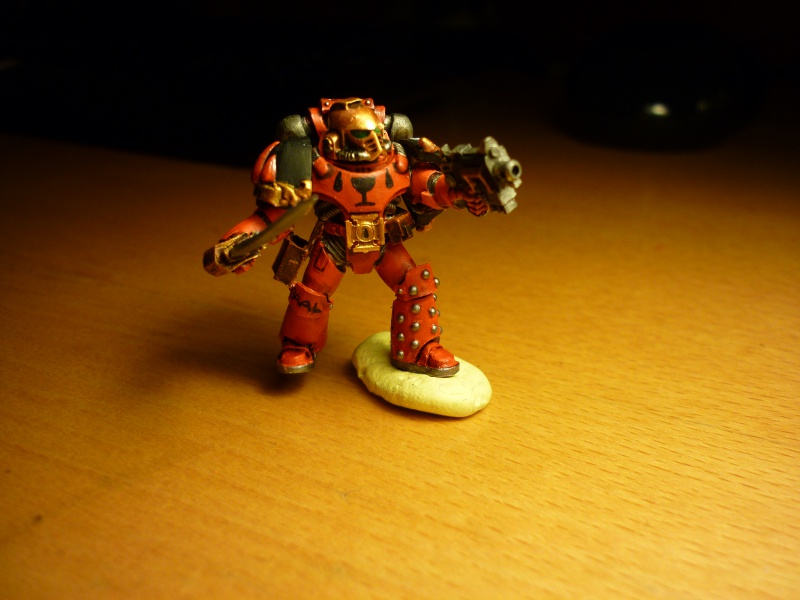 Blood Angel/Legio Cybernetica 146135P1010246