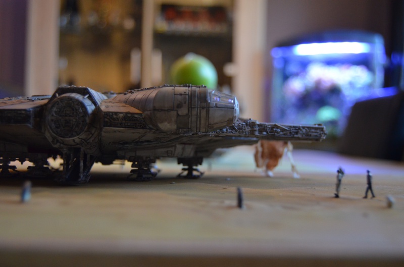 millenium falcon de bandai 146160DSC0005