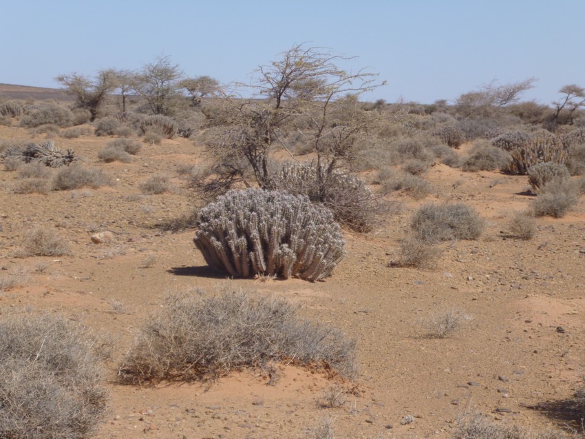 Le Grand Sud du Maroc - II 149306088